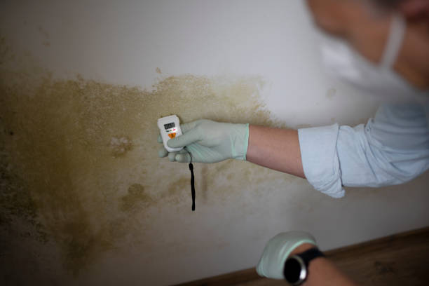 Water Damage Restoration in Grand Bay, AL